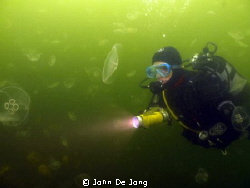 Nathalie between the jellyfish at lake Grevelingen, the N... by John De Jong 